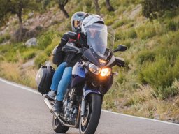 I Ruta Nocturna - 2023